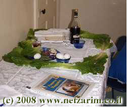 Seider Table, JeanH (Martinsburg, West Virginia 2008)